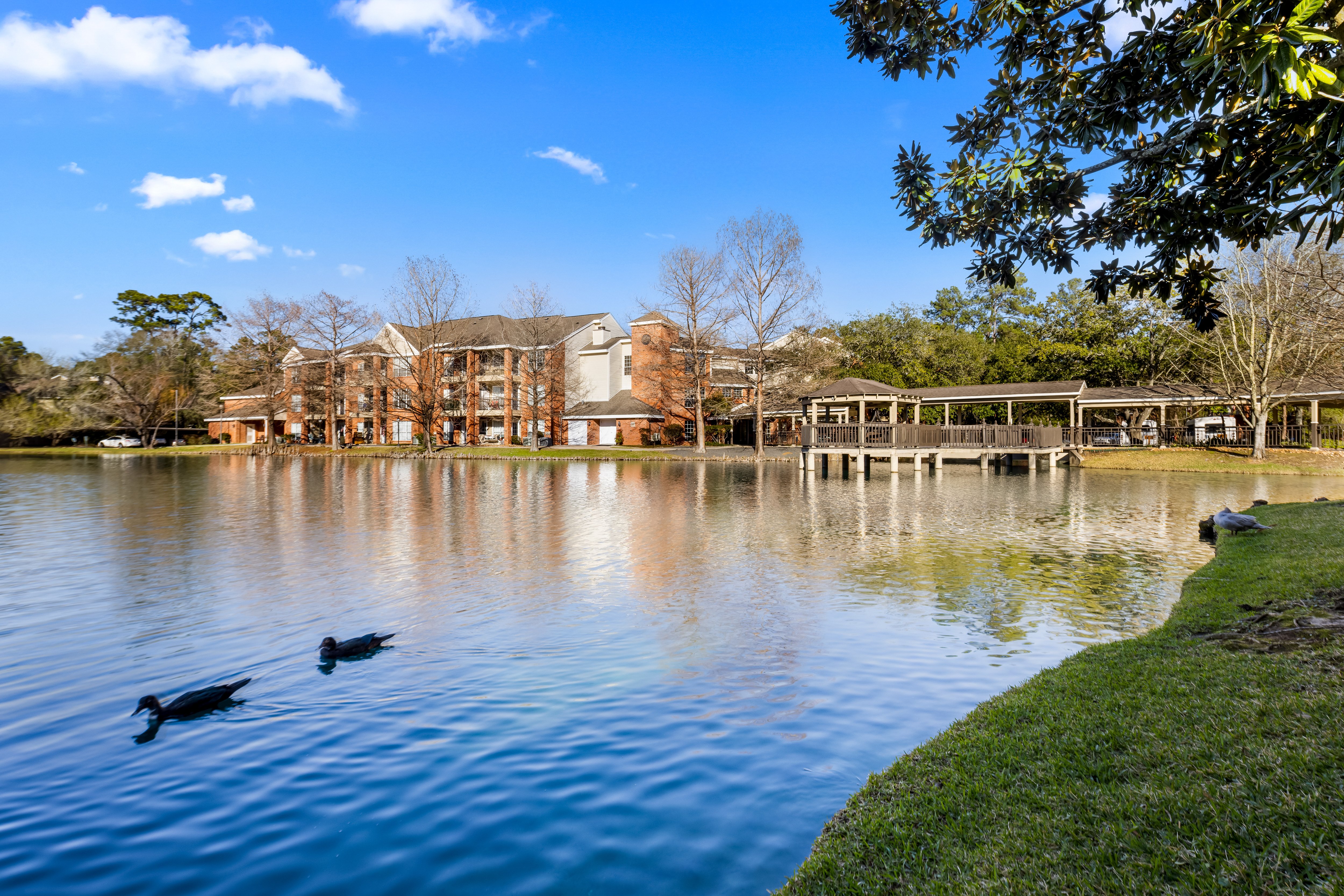 The-Forum-at-The Woodlands_042